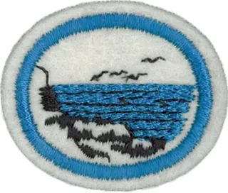 Marine Algae patch