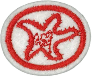 Marine Invertebrates patch
