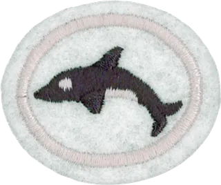 Marine Mammals patch