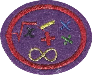 Math Skills IV patch