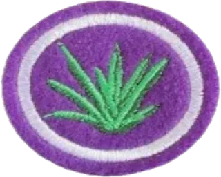 Medicinal Plants patch
