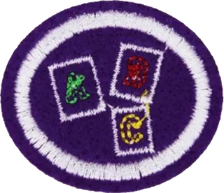 Methods of Study patch