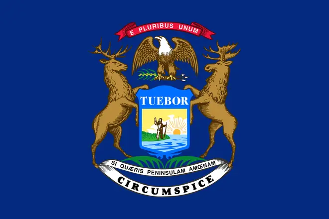 Michigan state flag