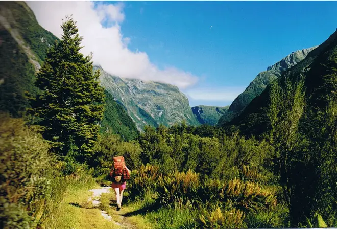 Milford track