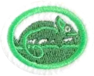 Mimicry and Camouflage patch
