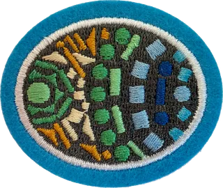 Mosaic Tile patch