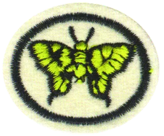 Moths & Butterflies patch