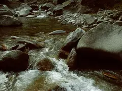 (2) Water visually clear and fresh smelling