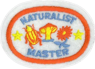 Naturalist Master Award patch