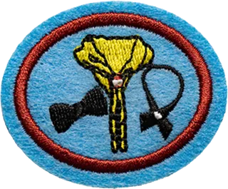 Neckwear patch
