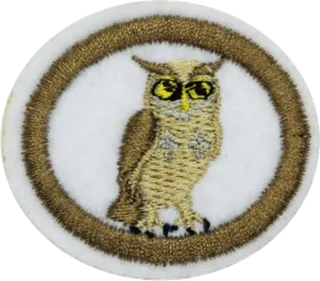 Nocturnal Animals patch