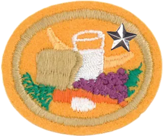 Nutrition - Advanced patch