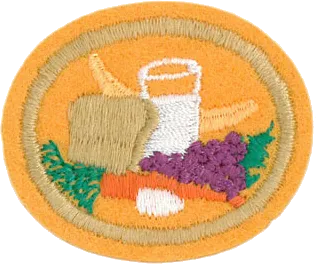 Nutrition patch