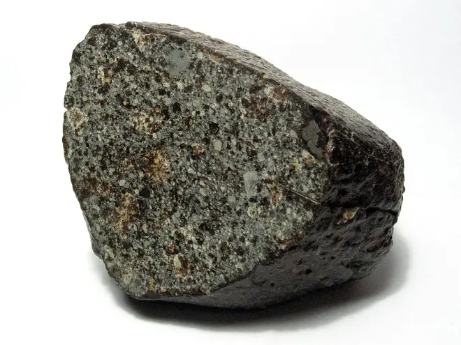 NWA869Meteorite