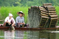 Trapping (Viet Nam)