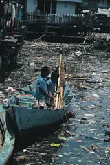 (8) Presence of raw sewage
