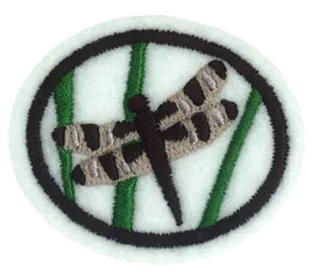 Odonates patch