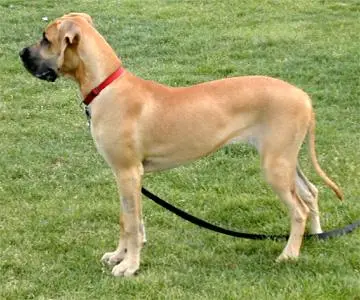 Oola - 6 months
