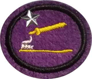 Oral Hygiene - Advanced patch