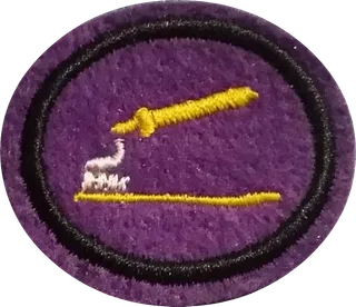 Oral Hygiene patch