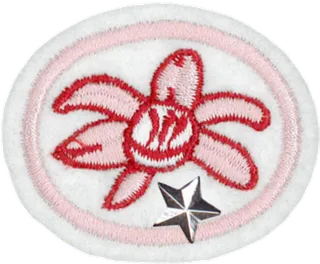 Orchids - Advanced patch