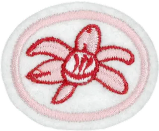 Orchids patch