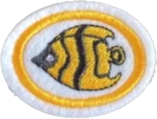 Ornamental Fish patch