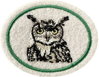 Owls patch