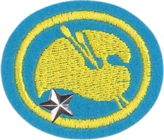 Painting - Advanced patch