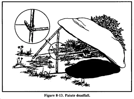 Paiute Deadfall
