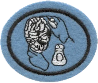 Paper Maché patch
