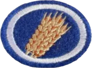 Parables of Jesus patch