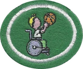 Paralympic Sports patch