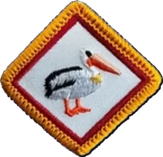 Pelican patch