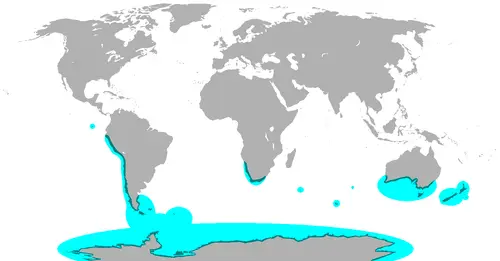 Penguin range