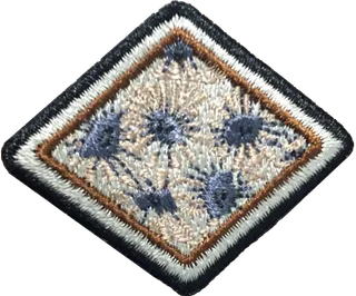 Petoskey Stone patch