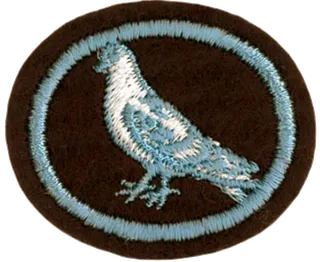 Pigeon Raising patch