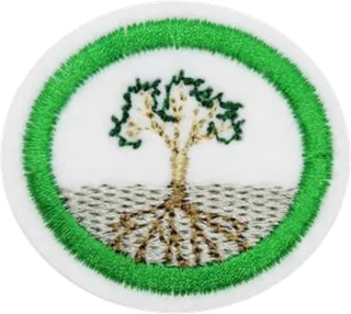 Plant Physiology patch