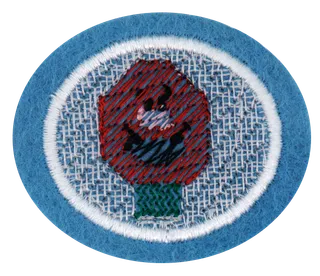 Plastic Canvas patch