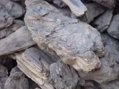 Pliocene Lignite Coal Serbia