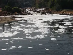 (4) Detergent foam present
