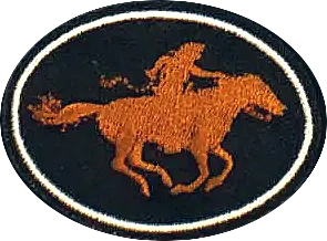Pony Express patch