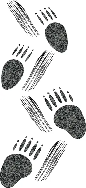 Porcupine tracks
