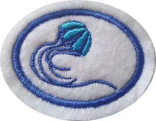Porifera and Cnidaria patch