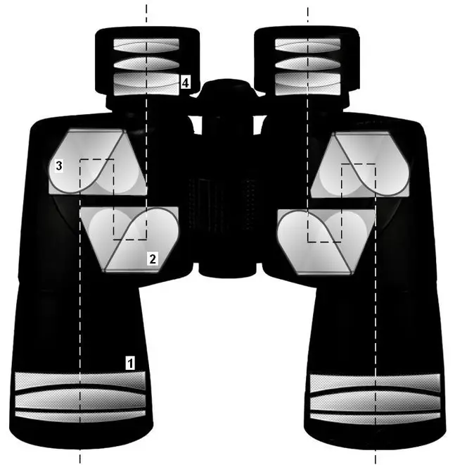 Porro binocular