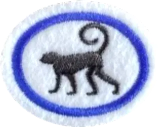 Primates patch