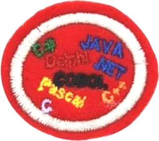 Computer Programming patch