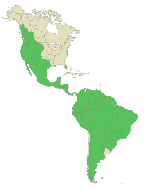 Puma range