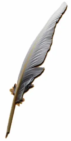 Quill pen