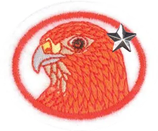 Raptors - Advanced patch
